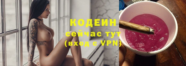 молекула духа Бородино