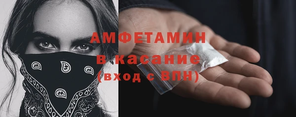 молекула духа Бородино