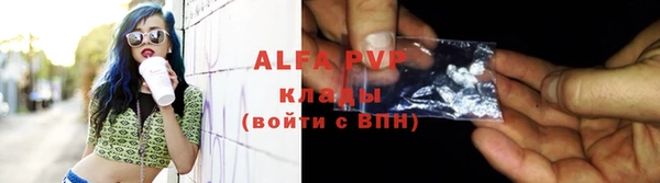 молекула духа Бородино