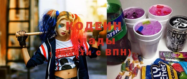 молекула духа Бородино