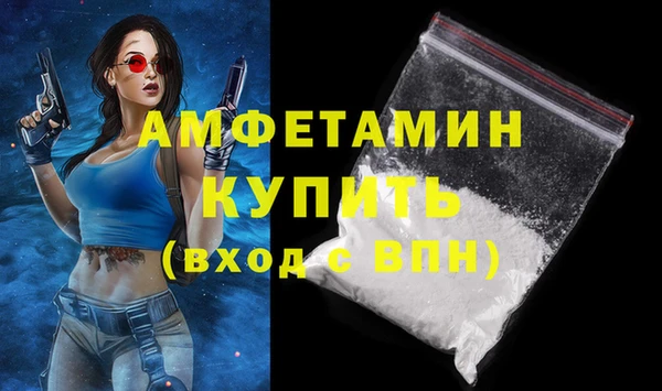 молекула духа Бородино