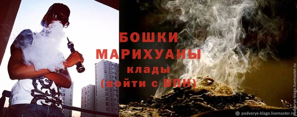 молекула духа Бородино