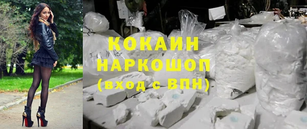 молекула духа Бородино