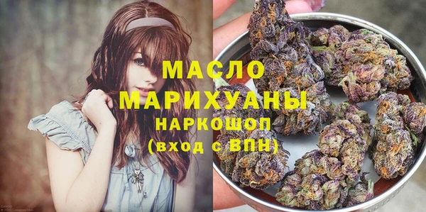 молекула духа Бородино