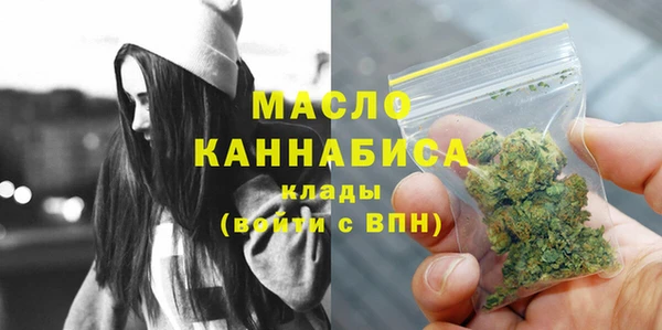 молекула духа Бородино