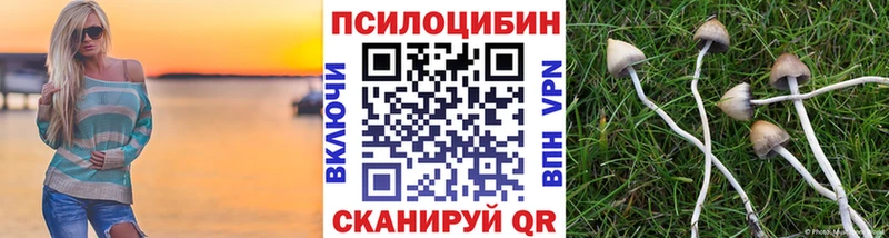 Псилоцибиновые грибы Cubensis Видное
