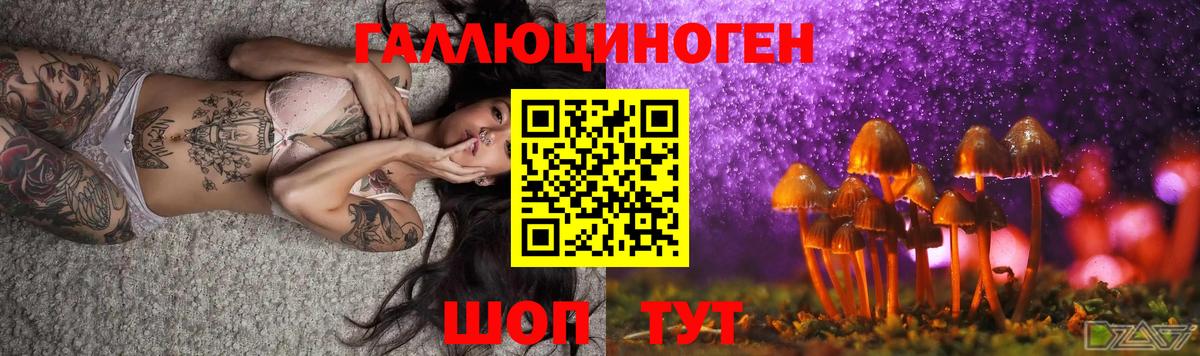 Видное  Псилоцибиновые грибы мухоморы  Вход с VPN 