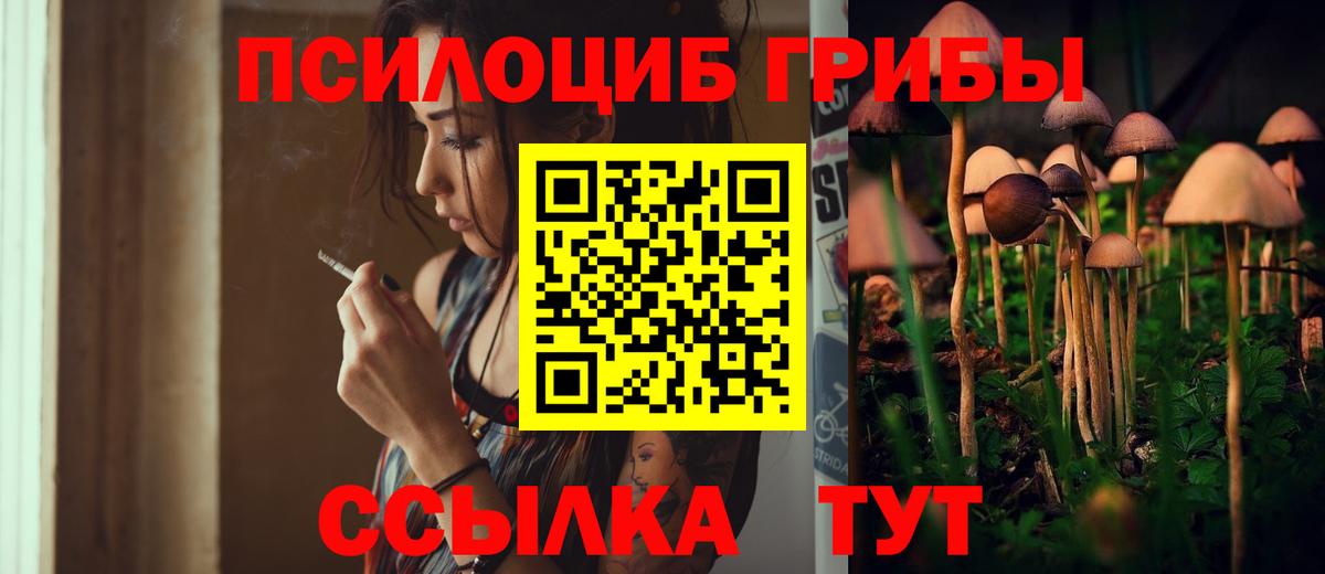 Псилоцибиновые грибы Cubensis  Видное 